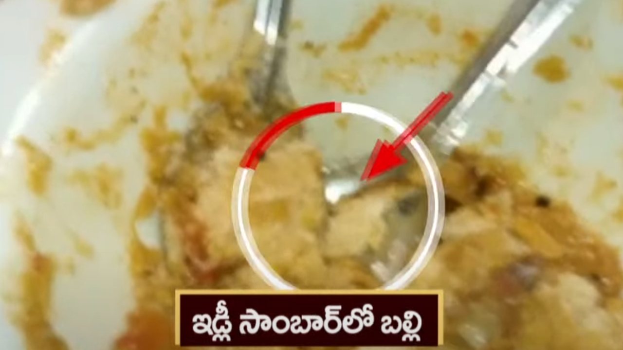 Lizard in Sambar : ఇడ్లీ సాంబార్ లో బల్లి..చిన్న బల్లి పడితే ఏం కాదు తినేయమన్న హోటల్ యాజమాన్యం Lizard in Sambar : ఇడ్లీ సాంబార్ లో బల్లి..చిన్న బల్లి పడితే ఏం కాదు తినేయమన్న హోటల్ యాజమాన్యం