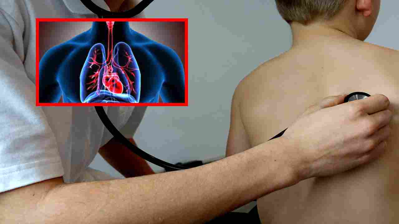 Lung Health : ఈ లక్షణాలు ఉంటే మాత్రం మీ ఊపిరితిత్తుల ఆరోగ్యం విషయంలో జాగ్రత్త పడాల్సిందే! Lung Health : ఈ లక్షణాలు ఉంటే మాత్రం మీ ఊపిరితిత్తుల ఆరోగ్యం విషయంలో జాగ్రత్త పడాల్సిందే!