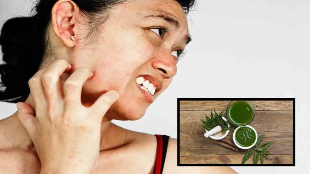 Neem is a good medicine for winter allergies!