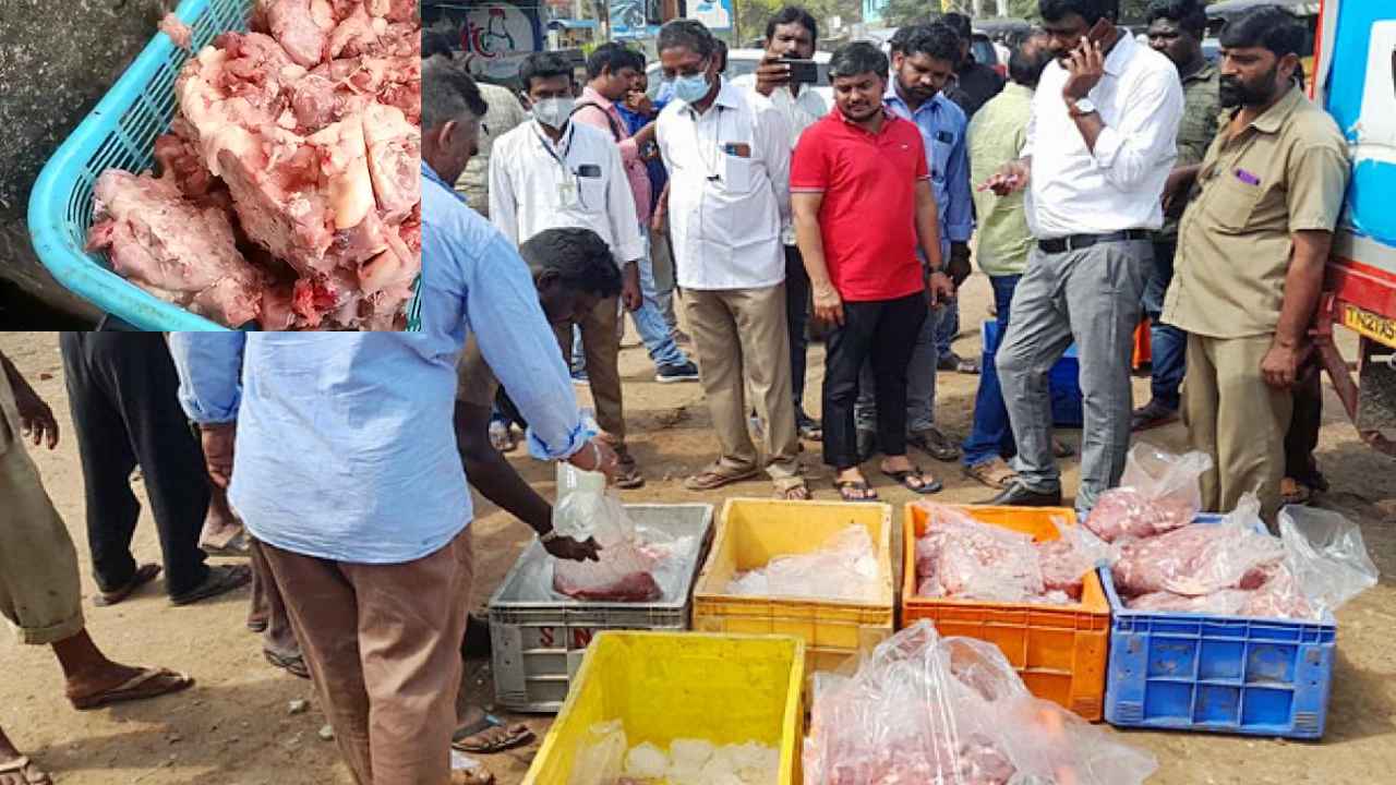 Nellore Rotten Chicken : ఈ చికెన్ తింటే చావు ఖాయం..! నెల్లూరులో 500 కిలోల కుళ్లిన చికెన్ స్వాధీనం, అధికారుల దాడుల్లో షాకింగ్ దృశ్యం Nellore Rotten Chicken : ఈ చికెన్ తింటే చావు ఖాయం..! నెల్లూరులో 500 కిలోల కుళ్లిన చికెన్ స్వాధీనం, అధికారుల దాడుల్లో షాకింగ్ దృశ్యం