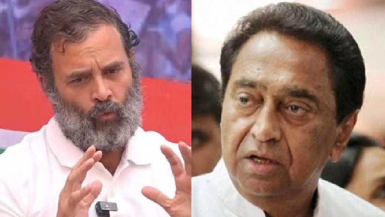 2024 లోక్సభ ఎన్నికల్లో ప్రతిపక్ష పార్టీల ప్రధాని అభ్యర్థి రాహుల్ గాంధీ: కాంగ్రెస్ సీనియర్ నేత 2024 లోక్సభ ఎన్నికల్లో ప్రతిపక్ష పార్టీల ప్రధాని అభ్యర్థి రాహుల్ గాంధీ: కాంగ్రెస్ సీనియర్ నేత