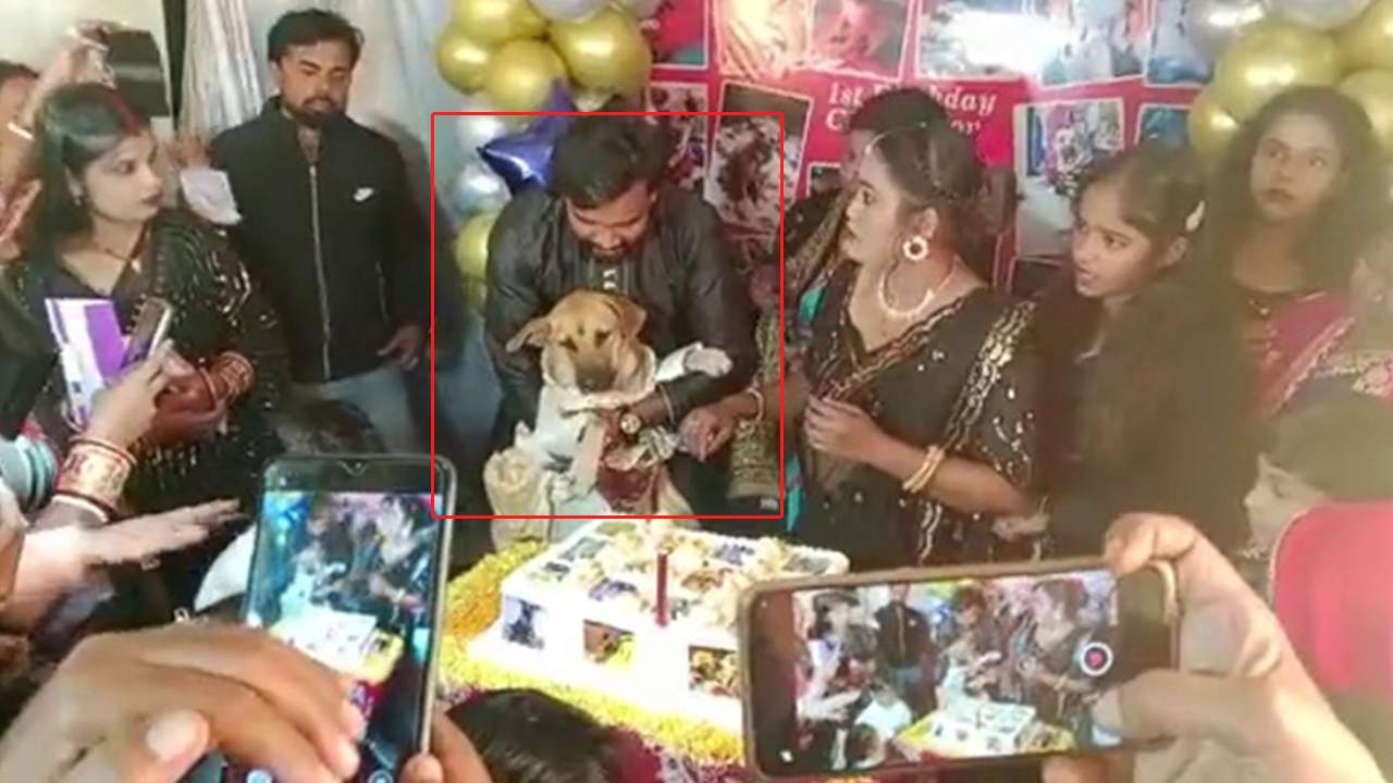 Pet Dog Birthday Party : పెంపుడు కుక్క బర్త్డే..రూ .4500 డ్రెస్ .. బంగారు గొలుసులు బహుమతి Pet Dog Birthday Party : పెంపుడు కుక్క బర్త్డే..రూ .4500 డ్రెస్ .. బంగారు గొలుసులు బహుమతి