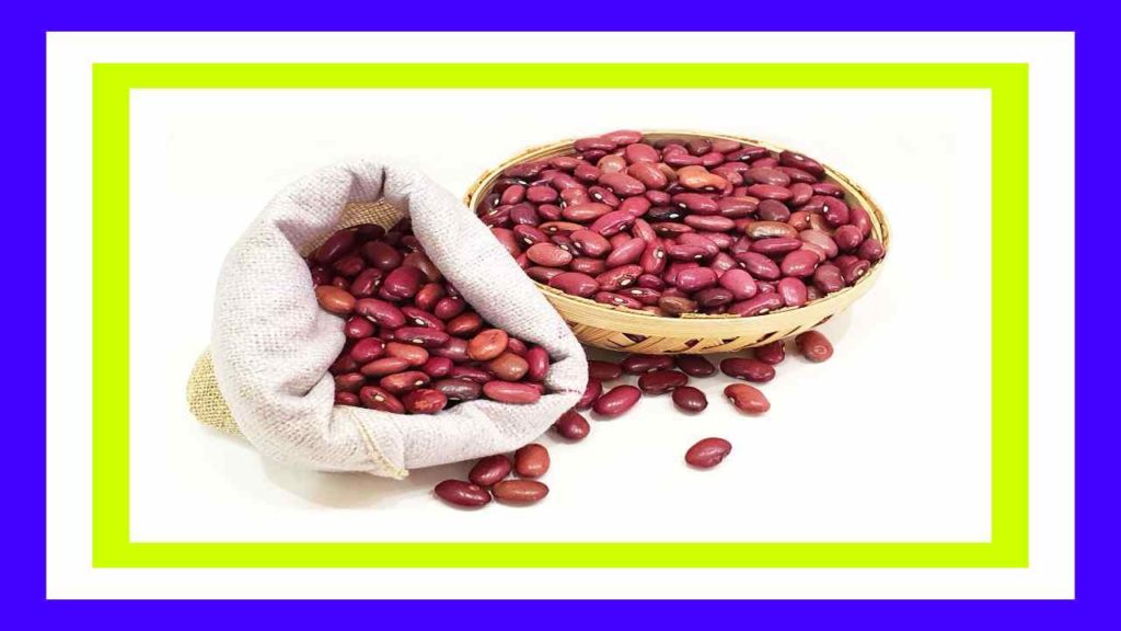 Rajma Seeds :