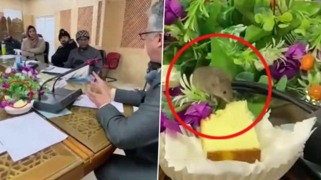 Rat 'attends' meeting and Enjoy eating a piece of cake viral video