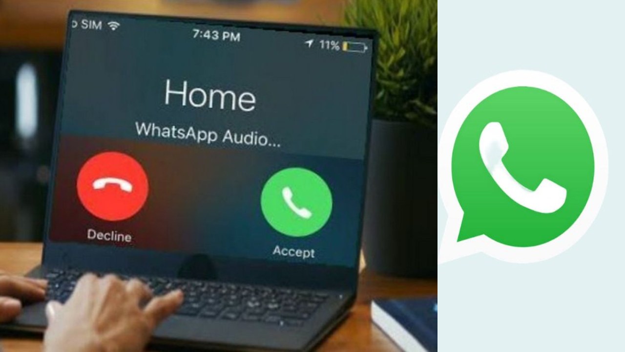 Tech Tips _ How to make WhatsApp video call on laptop