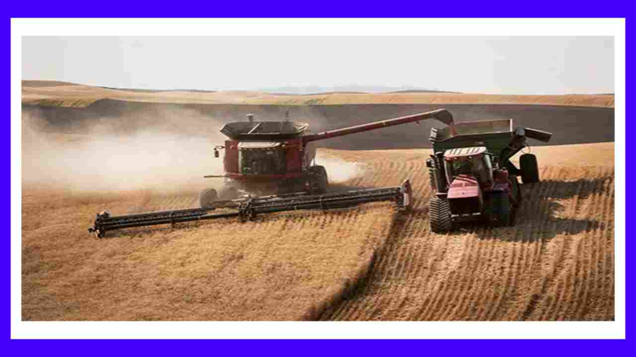 Processing Of Small Grains : చిరుధాన్యాల ప్రాసెసింగ్లో రైతులకు మెళకువలు! Processing Of Small Grains : చిరుధాన్యాల ప్రాసెసింగ్లో రైతులకు మెళకువలు!