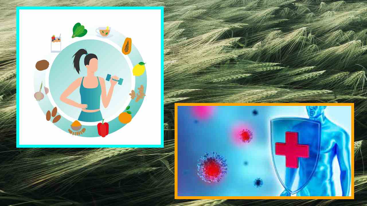 Natural Defense System : శరీర సహజ రక్షణ వ్యవస్ధ కోసం రోజువారీగా వీటిని తీసుకోండి! Natural Defense System : శరీర సహజ రక్షణ వ్యవస్ధ కోసం రోజువారీగా వీటిని తీసుకోండి!
