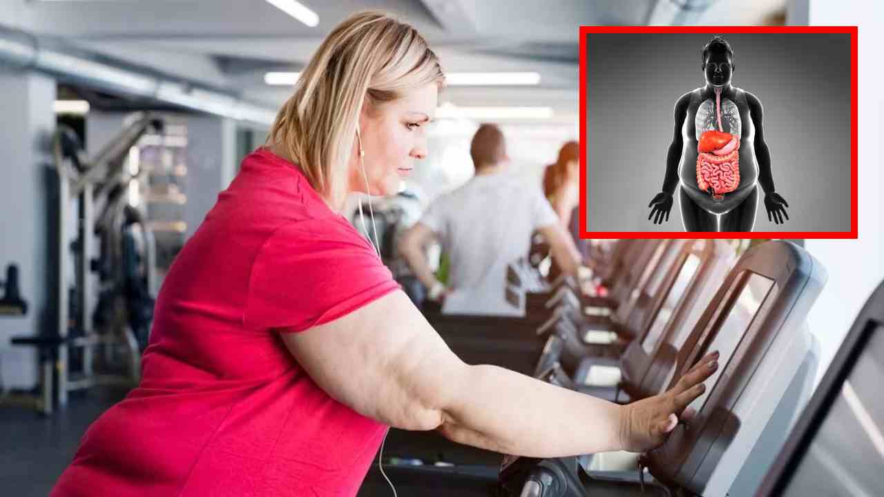 Overweight : అధిక బరువుకు ప్రధాన కారణలు ఇవే! అవగాహనతో ఊబకాయం నుండి బయటపడొచ్చంటున్న నిపుణులు Overweight : అధిక బరువుకు ప్రధాన కారణలు ఇవే! అవగాహనతో ఊబకాయం నుండి బయటపడొచ్చంటున్న నిపుణులు