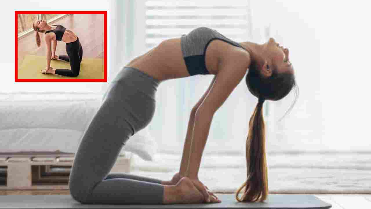Ustrasana : నడుము నొప్పితోపాటు, శ్వాససంబంధిత సమస్యల నుండి ఉపశమనం కలిగించే యోగాసనం ఇదే! Ustrasana : నడుము నొప్పితోపాటు, శ్వాససంబంధిత సమస్యల నుండి ఉపశమనం కలిగించే యోగాసనం ఇదే!