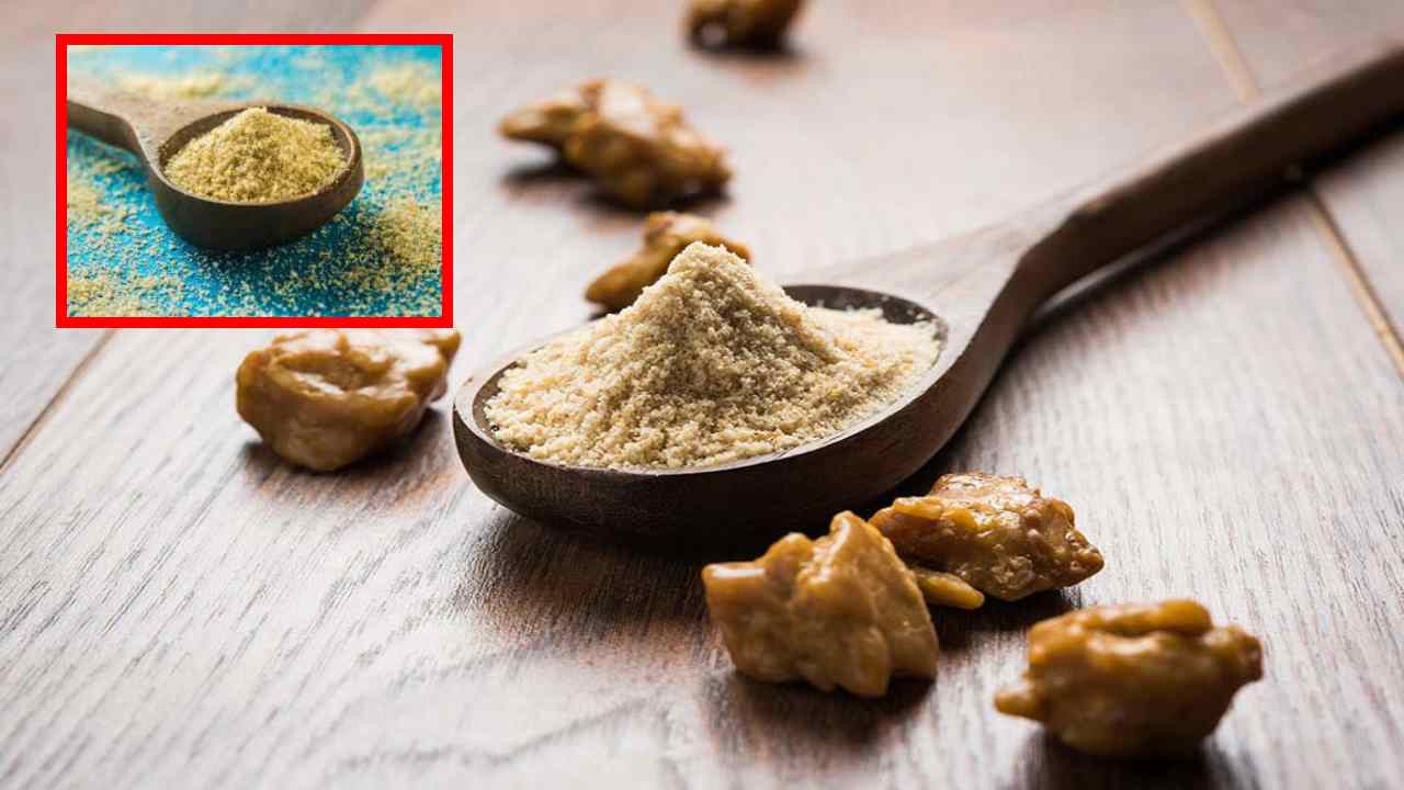 Asafoetida : జీర్ణ క్రియలను మెరుగుపరచటం ద్వారా బరువు తగ్గటంలో సహాయపడే ఇంగువ ! Asafoetida : జీర్ణ క్రియలను మెరుగుపరచటం ద్వారా బరువు తగ్గటంలో సహాయపడే ఇంగువ !