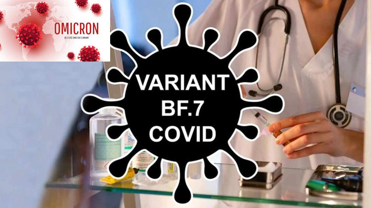 BF7 Omicron Variant : బీఎఫ్7 ఒమిక్రాన్ వేరియంట్ తో ముప్పు ఎక్కువే.. ఒకరి నుంచి 18 మందికి వేగంగా వ్యాప్తి, వైరస్ లక్షణాలేంటి? BF7 Omicron Variant : బీఎఫ్7 ఒమిక్రాన్ వేరియంట్ తో ముప్పు ఎక్కువే.. ఒకరి నుంచి 18 మందికి వేగంగా వ్యాప్తి, వైరస్ లక్షణాలేంటి?