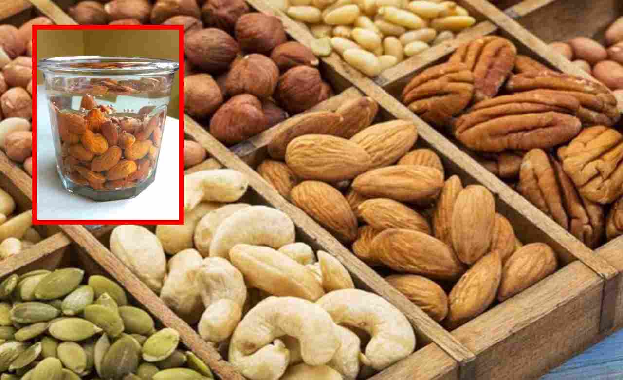 Soak Seeds : ఆ గింజలను నానబెట్టుకుని తింటే బరువు తగ్గటంతోపాటు శరీరానికి ఎన్నో పోషకాలు అందుతాయ్! Soak Seeds : ఆ గింజలను నానబెట్టుకుని తింటే బరువు తగ్గటంతోపాటు శరీరానికి ఎన్నో పోషకాలు అందుతాయ్!