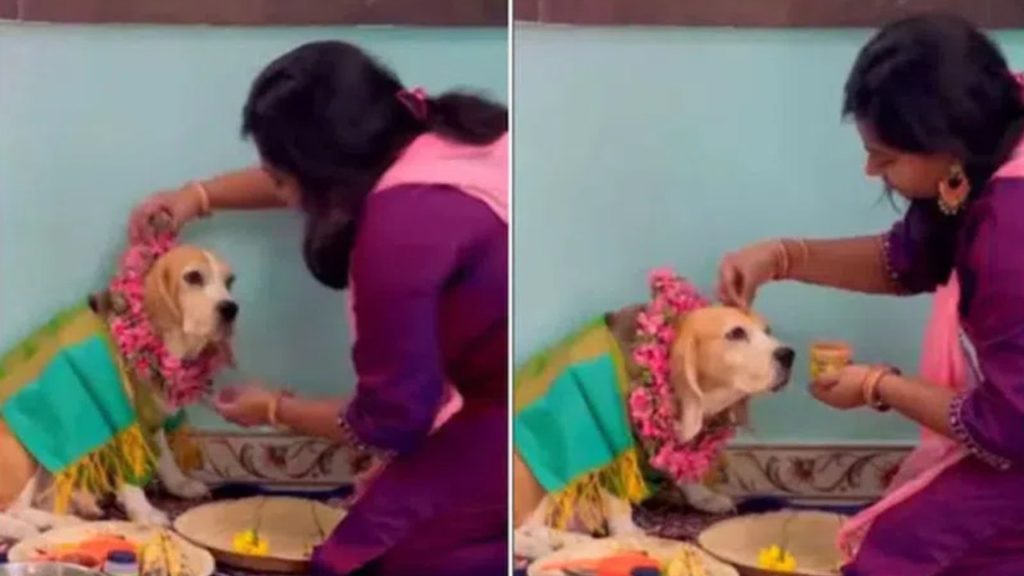 woman restrains dog
