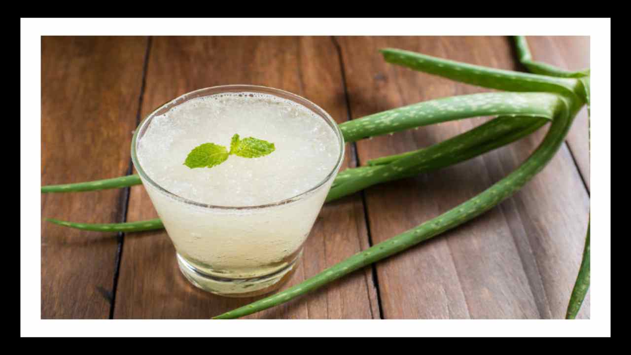 Aloe Vera juice : గ్యాస్ తోపాటు, జీర్ణ సంబంధిత సమస్యల నుండి విముక్తి కలిగించే అలోవెరా జ్యూస్! Aloe Vera juice : గ్యాస్ తోపాటు, జీర్ణ సంబంధిత సమస్యల నుండి విముక్తి కలిగించే అలోవెరా జ్యూస్!