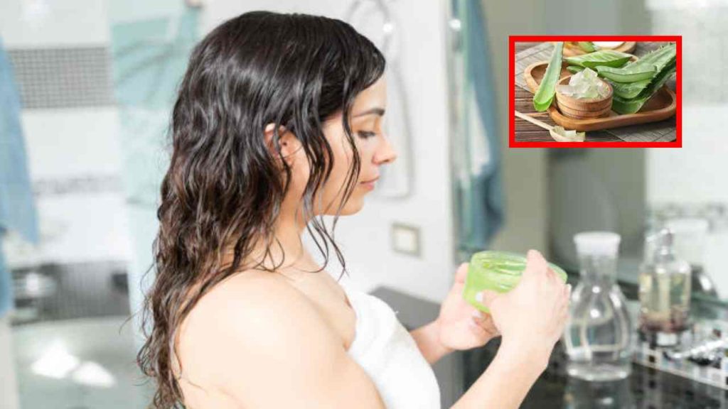 Apart from providing hair nutrients, aloe vera is best for reducing hair fall!