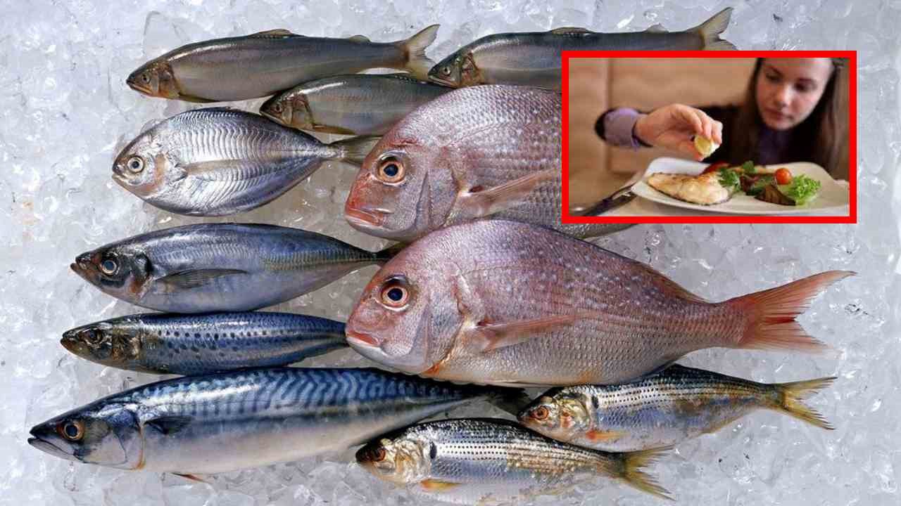 Eat More Seafood : సముద్రపు చేపలను ఎక్కువగా తినేవారు తెలివిగా, ఆరోగ్యంగా ఉంటారా? Eat More Seafood : సముద్రపు చేపలను ఎక్కువగా తినేవారు తెలివిగా, ఆరోగ్యంగా ఉంటారా?