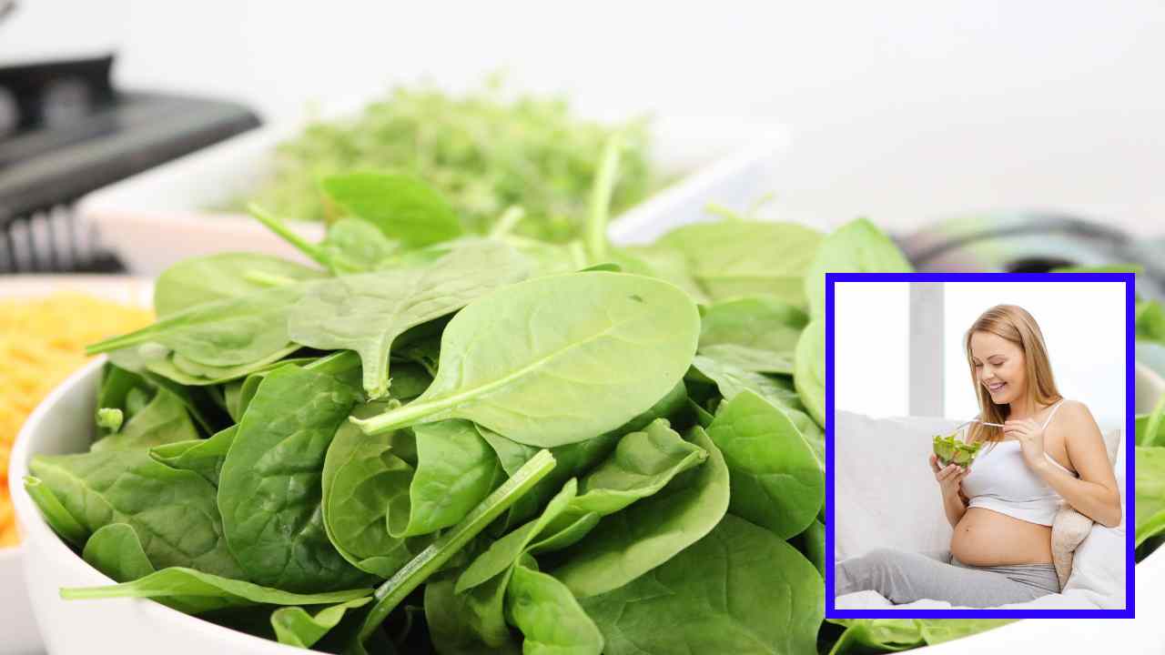 Benefits of Spinach : గర్భధారణ సమయంలో బచ్చలికూర ఆహారంలో చేర్చుకోవటం వల్ల కలిగే ప్రయోజనాలు! Benefits of Spinach : గర్భధారణ సమయంలో బచ్చలికూర ఆహారంలో చేర్చుకోవటం వల్ల కలిగే ప్రయోజనాలు!