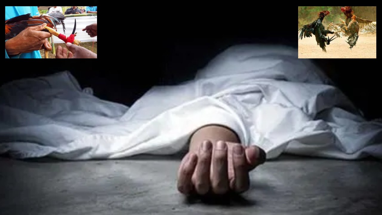 Chicken Knife One Died : కోడి పందాల్లో విషాదం.. కోడికత్తి గుచ్చుకుని వ్యక్తి మృతి Chicken Knife One Died : కోడి పందాల్లో విషాదం.. కోడికత్తి గుచ్చుకుని వ్యక్తి మృతి