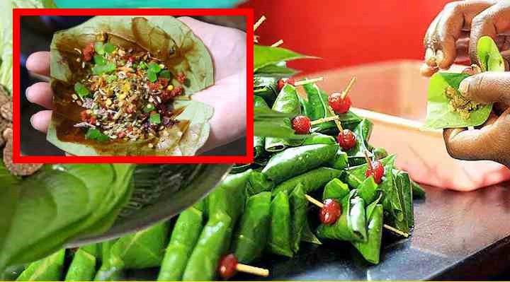 Eating Tambulam : తాంబూలం తిన్న తరువాత గంటపాటు ఏమీ తినకూడదా? అలా ఎందుకంటే! Eating Tambulam : తాంబూలం తిన్న తరువాత గంటపాటు ఏమీ తినకూడదా? అలా ఎందుకంటే!