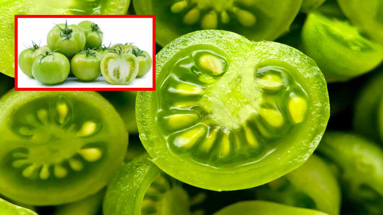 Green Tomato : రక్తపోటును నియంత్రణలో ఉంచి గుండెకు మేలు చేసే గ్రీన్ టొమాటో! Green Tomato : రక్తపోటును నియంత్రణలో ఉంచి గుండెకు మేలు చేసే గ్రీన్ టొమాటో!