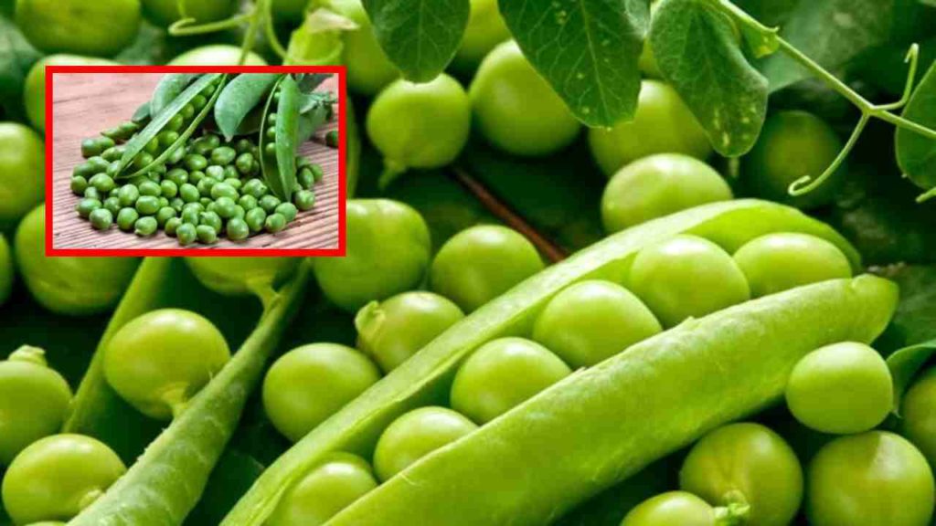 Health Benefits of Green Peas.