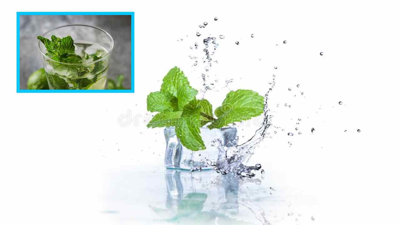 Mint Water : బరువును తగ్గించటంతోపాటు, జీర్ణక్రియను వేగవంతం చేసే పుదీనా వాటర్ ! Mint Water : బరువును తగ్గించటంతోపాటు, జీర్ణక్రియను వేగవంతం చేసే పుదీనా వాటర్ !