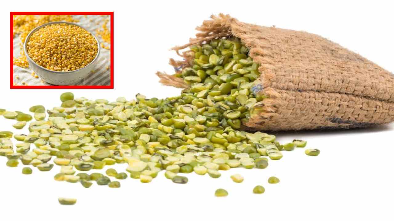 Moong Dal : రక్తపోటు నియంత్రణలో ఉంచటంతోపాటు, బరువు తగ్గటంలో తోడ్పడే పెసరపప్పు! Moong Dal : రక్తపోటు నియంత్రణలో ఉంచటంతోపాటు, బరువు తగ్గటంలో తోడ్పడే పెసరపప్పు!