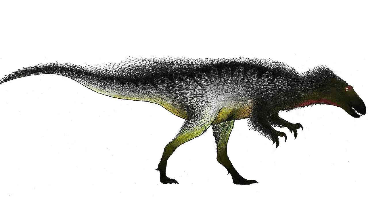 Dinosaur Species: 7.5 కోట్ల సంవత్సరాల క్రితం జీవించిన డైనోసర్ల శిలాజాలను గుర్తించిన శాస్త్రవేత్తలు Dinosaur Species: 7.5 కోట్ల సంవత్సరాల క్రితం జీవించిన డైనోసర్ల శిలాజాలను గుర్తించిన శాస్త్రవేత్తలు