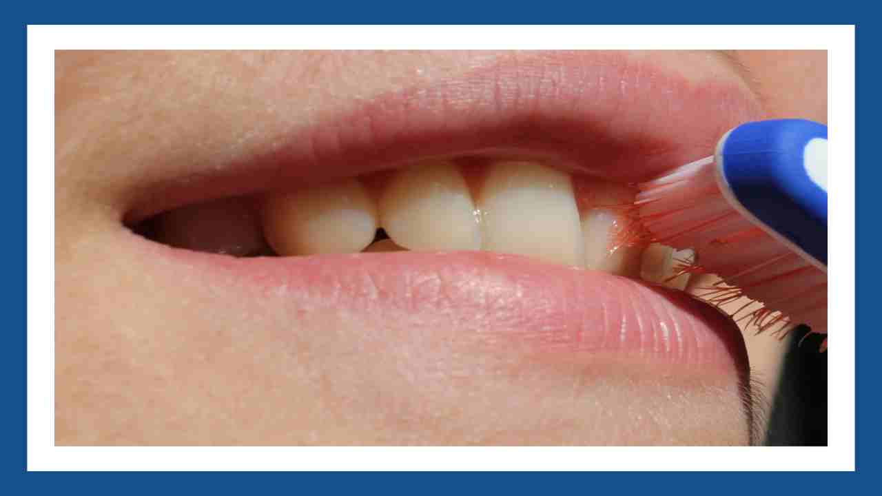 Oral Health Care : దీర్ఘకాలిక ఆరోగ్యం కోసం నోటి ఆరోగ్యం విషయంలో జాగ్రత్తలు పాటించటం అవసరమే! Oral Health Care : దీర్ఘకాలిక ఆరోగ్యం కోసం నోటి ఆరోగ్యం విషయంలో జాగ్రత్తలు పాటించటం అవసరమే!