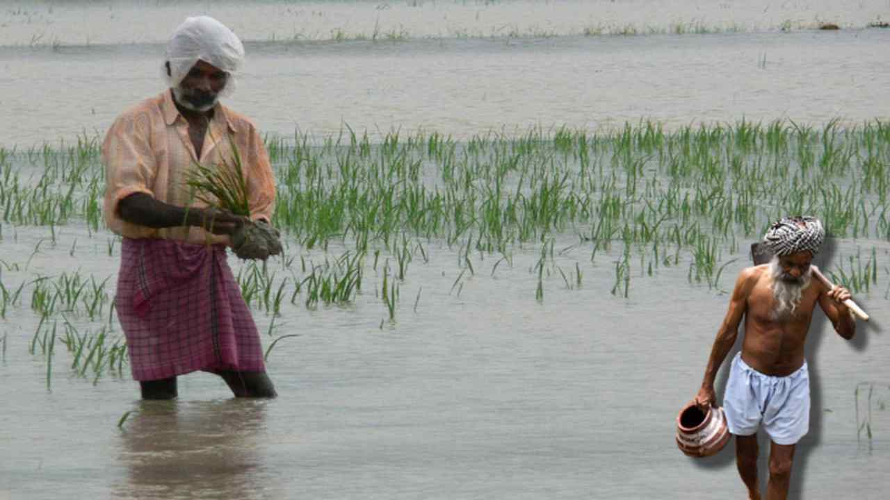 Untimely Rains : అకాల వర్షాల కారణంగా వరిపంట నీటిముంపుకు గురైతే తీసుకోవాల్సిన జాగ్రత్తలు! Untimely Rains : అకాల వర్షాల కారణంగా వరిపంట నీటిముంపుకు గురైతే తీసుకోవాల్సిన జాగ్రత్తలు!