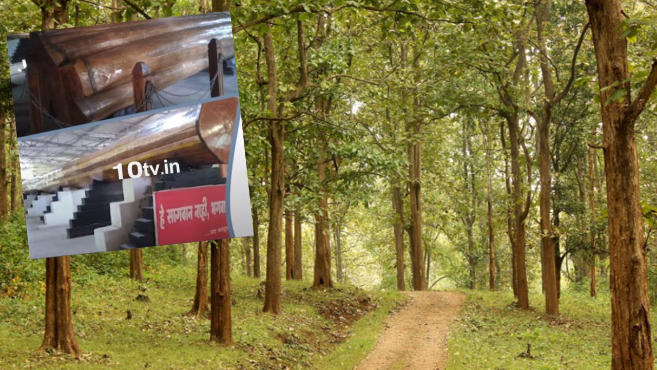 Ram-Laxman Trees In Alapally Forest : టేకు చెట్లకు దేవుళ్ల పేర్లు .. పూజలు అందుకుంటున్న భారీ వృక్షాలు Ram-Laxman Trees In Alapally Forest : టేకు చెట్లకు దేవుళ్ల పేర్లు .. పూజలు అందుకుంటున్న భారీ వృక్షాలు