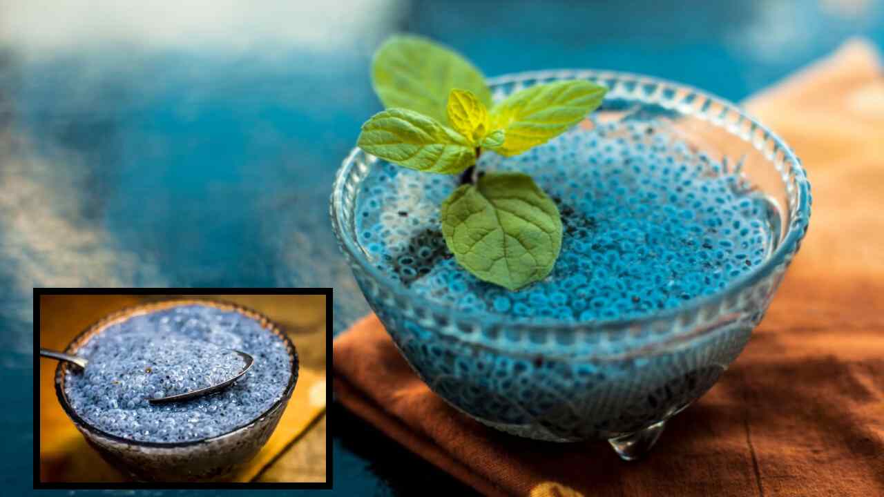 Sabja Seeds : కండరాలు, ఎముకలను బలోపేతం చేయటంతోపాటు, దీర్ఘకాలిక వ్యాధులను నివారించే సబ్జా గింజలు! Sabja Seeds : కండరాలు, ఎముకలను బలోపేతం చేయటంతోపాటు, దీర్ఘకాలిక వ్యాధులను నివారించే సబ్జా గింజలు!