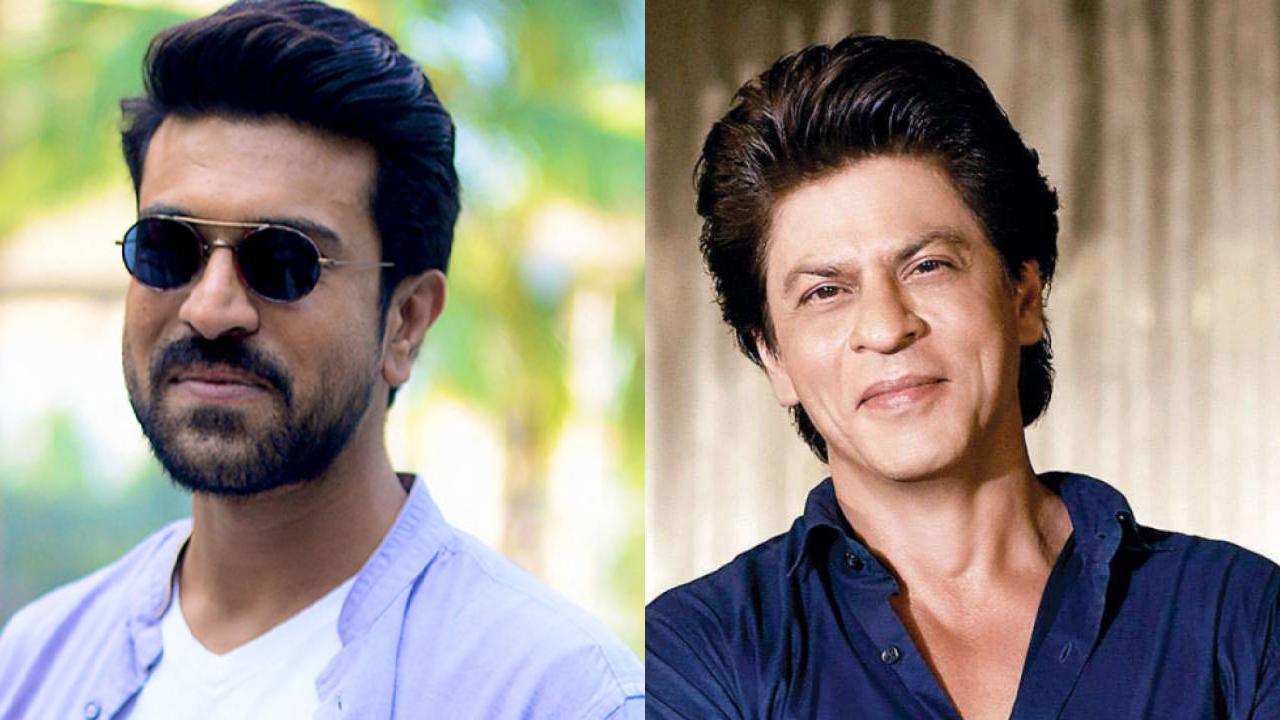 Shah Rukh Khan : మీరు ఆస్కార్ని తెచ్చినప్పుడు నన్ను దాన్ని టచ్ చేయనివ్వండి.. చరణ్కి షారుఖ్ ట్వీట్! Shah Rukh Khan : మీరు ఆస్కార్ని తెచ్చినప్పుడు నన్ను దాన్ని టచ్ చేయనివ్వండి.. చరణ్కి షారుఖ్ ట్వీట్!