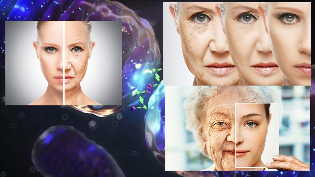 Solar Energy Slows Aging : సౌరశక్తి వృద్ధాప్యాన్ని తగ్గిస్తుందంటున్న శాస్త్రవేత్తలు..రూపాయి ఖర్చు లేకుండా యవ్వనంగా ఉండొచ్చంటున్న పరిశోధన Solar Energy Slows Aging : సౌరశక్తి వృద్ధాప్యాన్ని తగ్గిస్తుందంటున్న శాస్త్రవేత్తలు..రూపాయి ఖర్చు లేకుండా యవ్వనంగా ఉండొచ్చంటున్న పరిశోధన