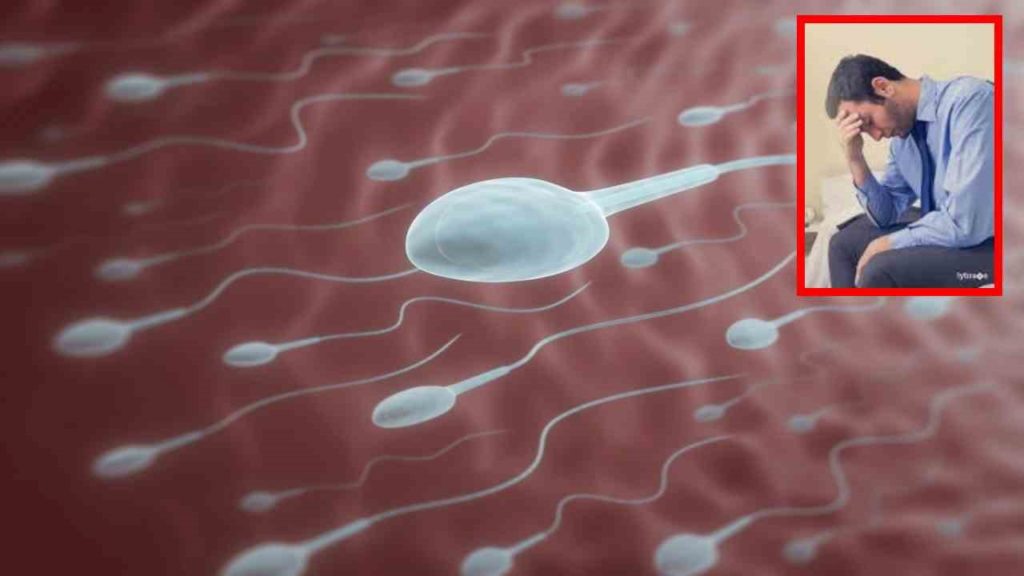 Sperm Quality In Men :