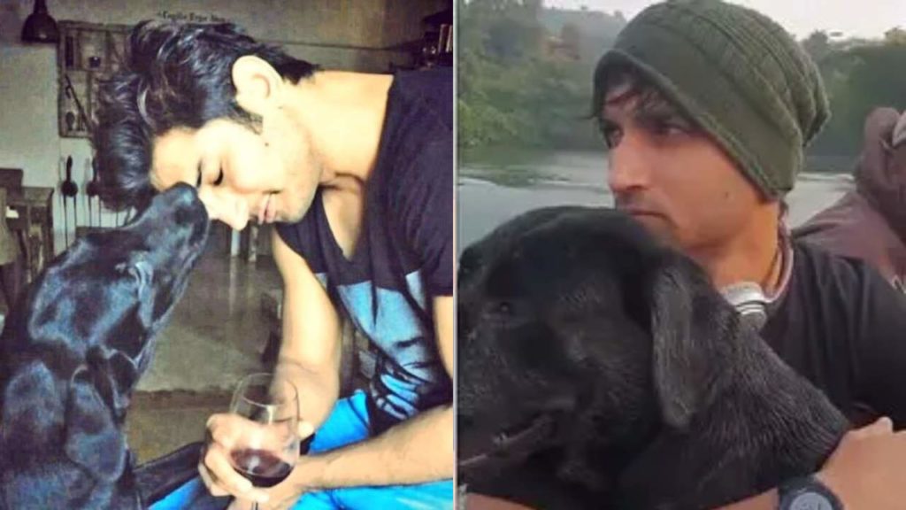 Sushant Singh Rajput pet dog