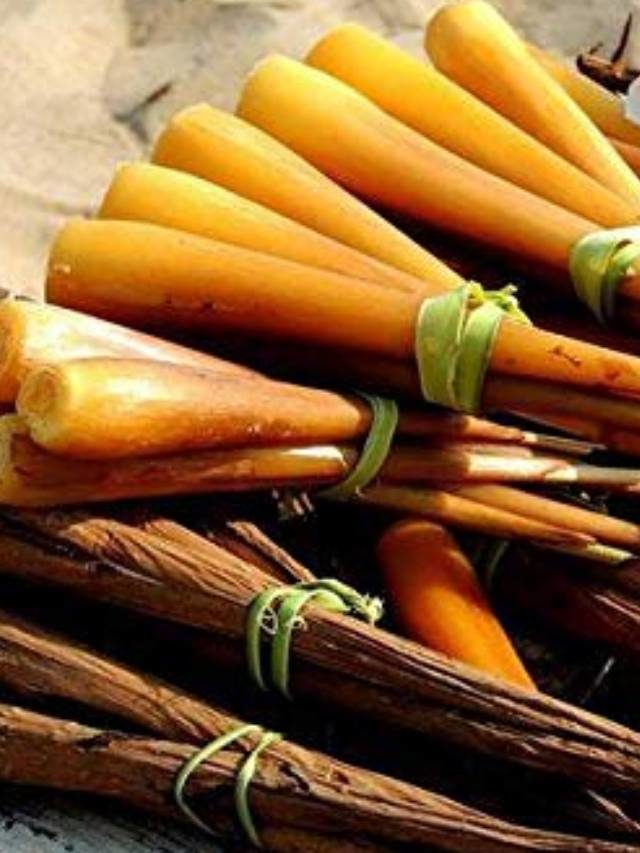 >తేగ‌లు తింటే ఏమ‌వుతుందో తెలుసా?