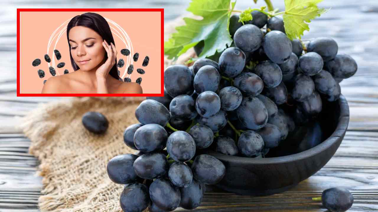 Black Grapes : జుట్టు, చర్మ ఆరోగ్యానికి నల్ల ద్రాక్ష వల్ల కలిగే ప్రయోజనాలు ఇవే! Black Grapes : జుట్టు, చర్మ ఆరోగ్యానికి నల్ల ద్రాక్ష వల్ల కలిగే ప్రయోజనాలు ఇవే!
