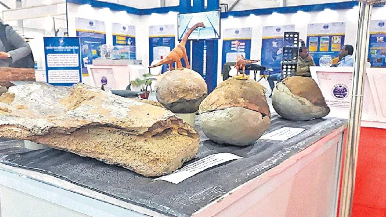 Titanosaur Eggs: నర్మదా లోయలో తవ్వకాల్లో బయటపడ్డ 256 డైనోసార్ గుడ్లు .. Titanosaur Eggs: నర్మదా లోయలో తవ్వకాల్లో బయటపడ్డ 256 డైనోసార్ గుడ్లు ..