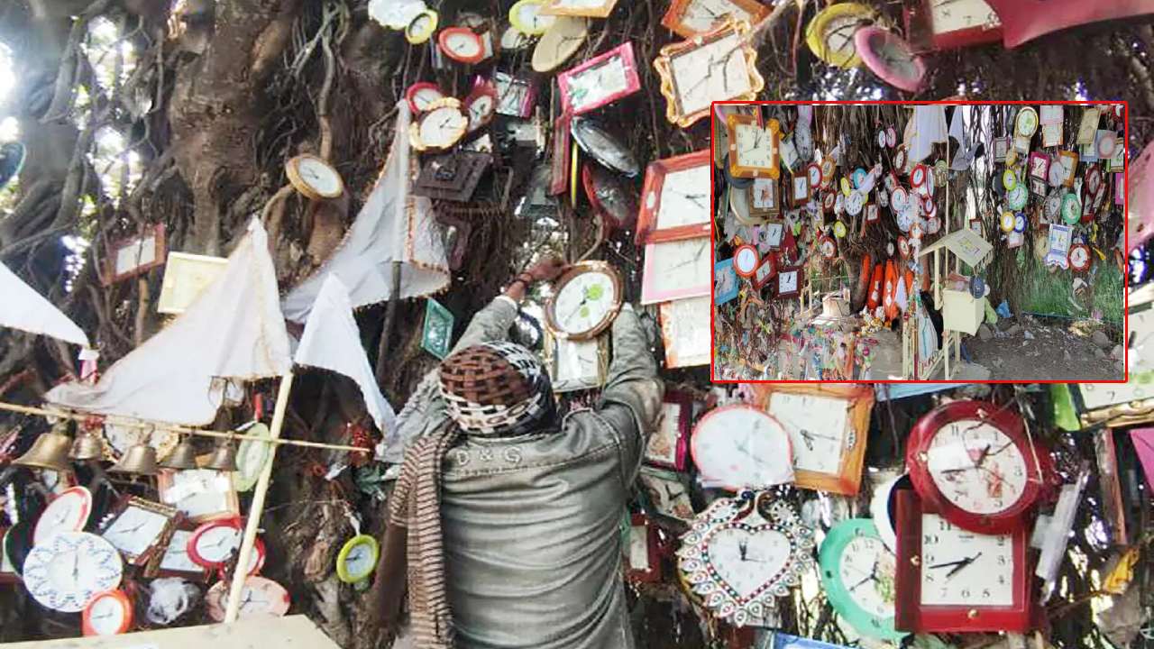 Clocks Gift from God : వింత ఆచారం..సిగరెట్ వెలిగిస్తే ఈ దేవుడు కోరికలు తీరుస్తాడట..!! Clocks Gift from God : వింత ఆచారం..సిగరెట్ వెలిగిస్తే ఈ దేవుడు కోరికలు తీరుస్తాడట..!!