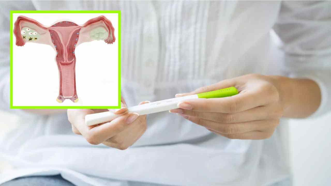 Small Sized Uterus : గర్భసంచి చిన్నగా ఉన్న స్త్రీలలో పిల్లలు పుట్టటం కష్టమేనా? Small Sized Uterus : గర్భసంచి చిన్నగా ఉన్న స్త్రీలలో పిల్లలు పుట్టటం కష్టమేనా?