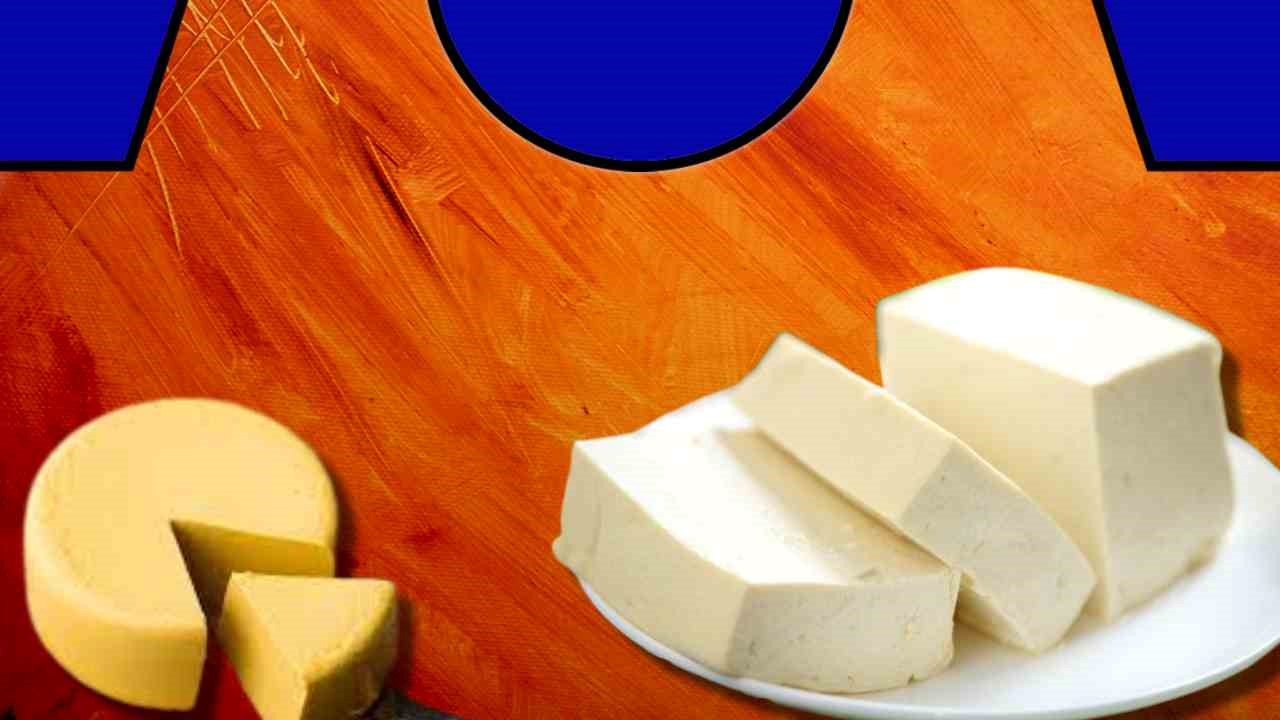 Cheese Healthy Benefits : చీజ్ని ఇష్టపడుతున్నారా? అదే సమయంలో కొవ్వుకు భయపడుతున్నారా? Cheese Healthy Benefits : చీజ్ని ఇష్టపడుతున్నారా? అదే సమయంలో కొవ్వుకు భయపడుతున్నారా?