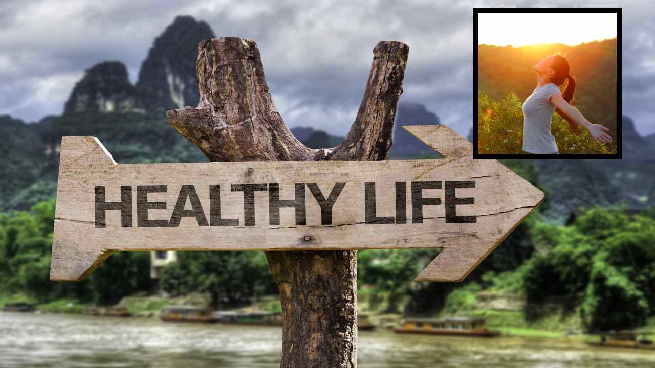 Healthy Life : మనిషి ఆరోగ్యవంతమైన జీవితానికి ఎలాంటి ఆహారం తినాలో తెలుసా? Healthy Life : మనిషి ఆరోగ్యవంతమైన జీవితానికి ఎలాంటి ఆహారం తినాలో తెలుసా?