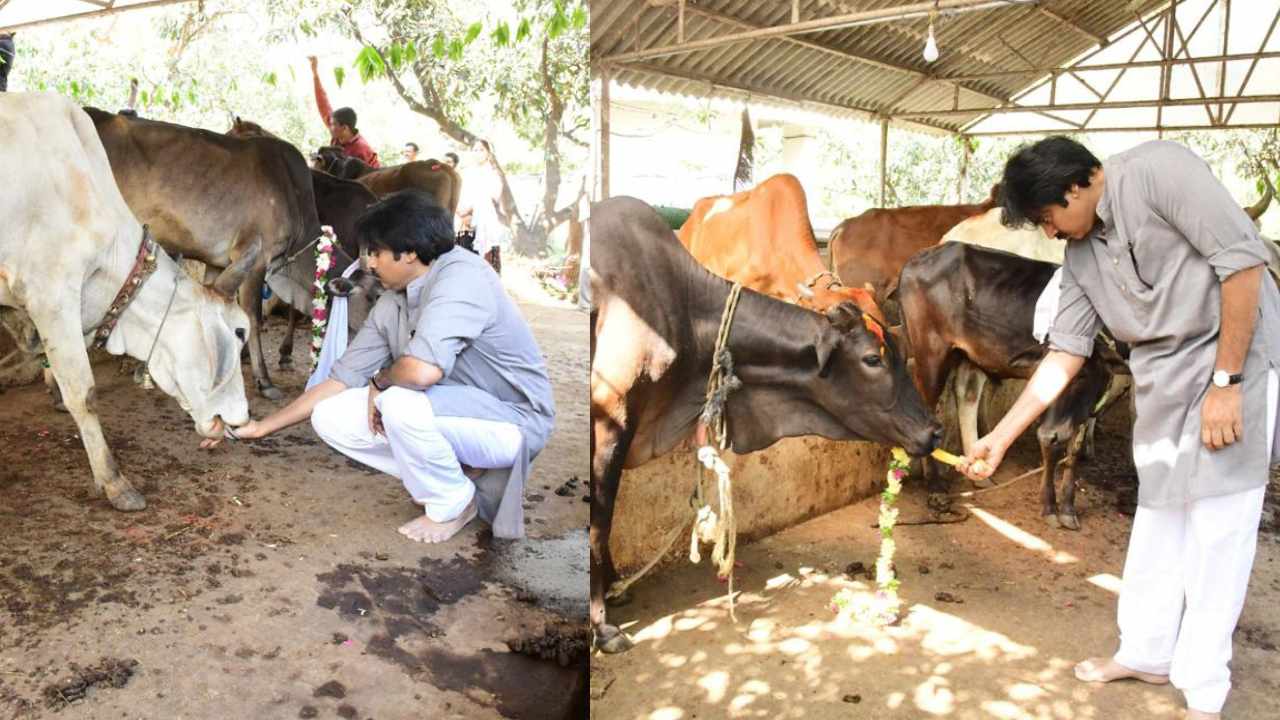 Pawan Kalyan : ఆవులతో ఆత్మీయంగా పవన్ కళ్యాణ్