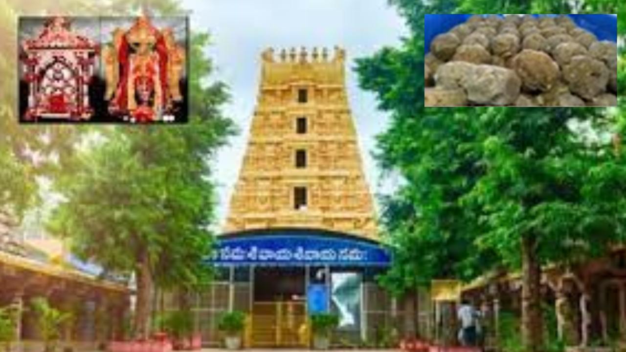 Srisailam Devasthanam Scam : శ్రీశైలం దేవస్థానం లడ్డూ తయారీ సరుకుల కొనుగోలులో భారీ కుంభకోణం Srisailam Devasthanam Scam : శ్రీశైలం దేవస్థానం లడ్డూ తయారీ సరుకుల కొనుగోలులో భారీ కుంభకోణం