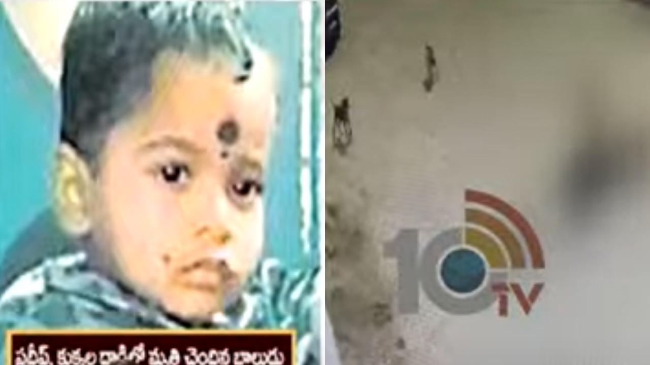 Dogs Attack Boy Died : హైదరాబాద్ అంబర్ పేటలో దారుణం.. వీధి కుక్కల దాడిలో నాలుగేళ్ల బాలుడు మృతి Dogs Attack Boy Died : హైదరాబాద్ అంబర్ పేటలో దారుణం.. వీధి కుక్కల దాడిలో నాలుగేళ్ల బాలుడు మృతి