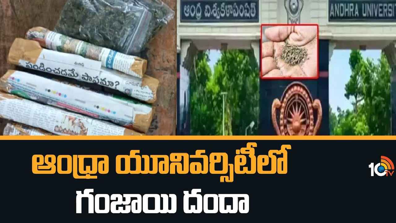 AU Ganja : ఆంధ్రా యూనివర్సిటీలో మత్తు మాఫియా కలకలం.. గుట్టుగా గంజాయి అమ్మకాలు AU Ganja : ఆంధ్రా యూనివర్సిటీలో మత్తు మాఫియా కలకలం.. గుట్టుగా గంజాయి అమ్మకాలు