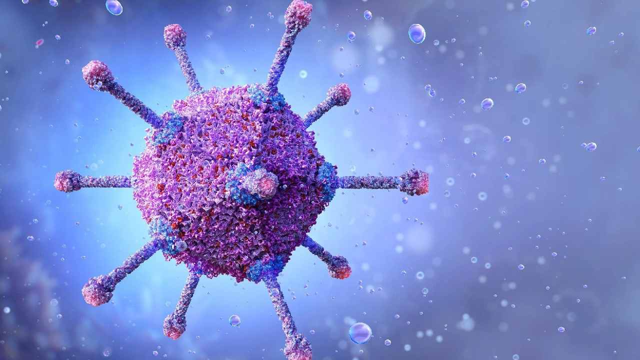 Adenovirus Cases: పశ్చిమ బెంగాల్లో విజృంభిస్తున్న ప్రమాదకర వైరస్.. పిల్లలు జాగ్రత్త అంటున్న ప్రభుత్వం Adenovirus Cases: పశ్చిమ బెంగాల్లో విజృంభిస్తున్న ప్రమాదకర వైరస్.. పిల్లలు జాగ్రత్త అంటున్న ప్రభుత్వం