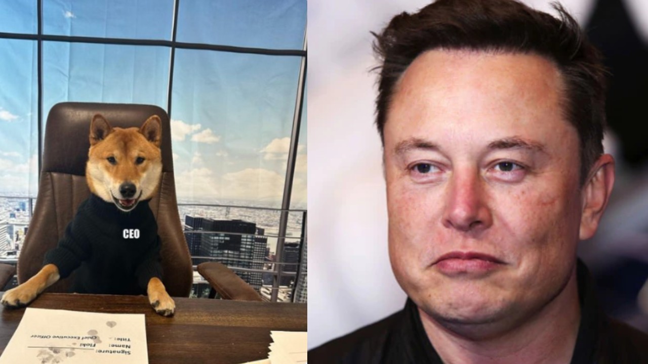 Elon Musk : ట్విట్టర్ కొత్త ‘సీఈవో’ అంటూ పెంపుడు కుక్క ఫోటోను షేర్ చేసిన ఎలాన్ మస్క్ Elon Musk : ట్విట్టర్ కొత్త ‘సీఈవో’ అంటూ పెంపుడు కుక్క ఫోటోను షేర్ చేసిన ఎలాన్ మస్క్