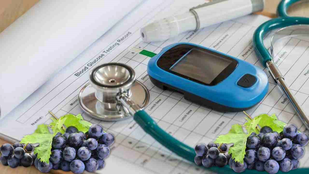 Black Grapes : రక్తంలో చక్కెర స్ధాయిలను తగ్గించటంలో ఉపకరించే నల్ల ద్రాక్ష ! Black Grapes : రక్తంలో చక్కెర స్ధాయిలను తగ్గించటంలో ఉపకరించే నల్ల ద్రాక్ష !